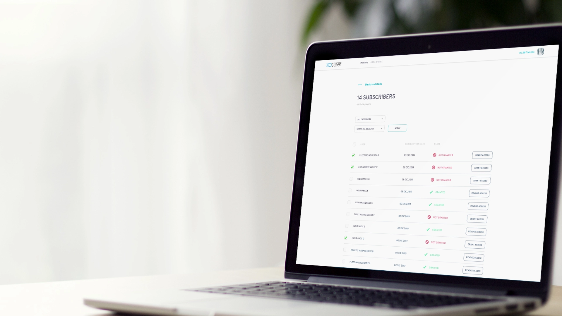 Ecosteer - direzione del brand